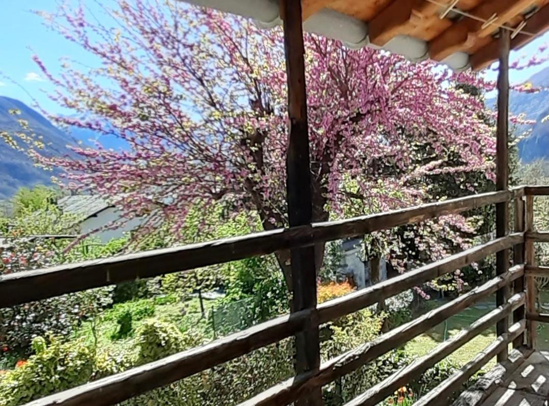 Ca Betulla Villa Novate Mezzola Exterior foto